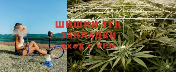 ECSTASY Белокуриха