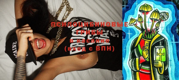 молекула духа Белоозёрский