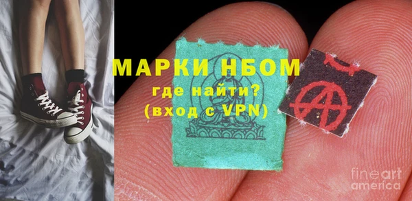прущие грибы Богородицк