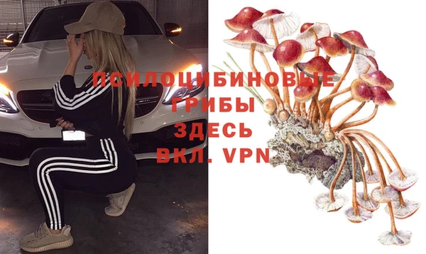 ECSTASY Белокуриха