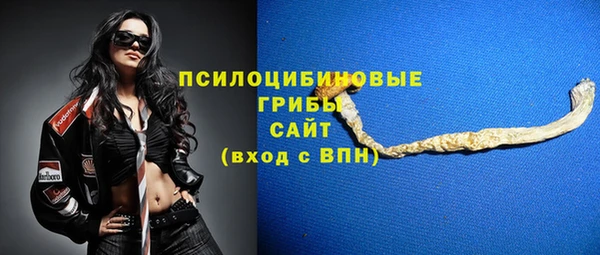 ECSTASY Белокуриха