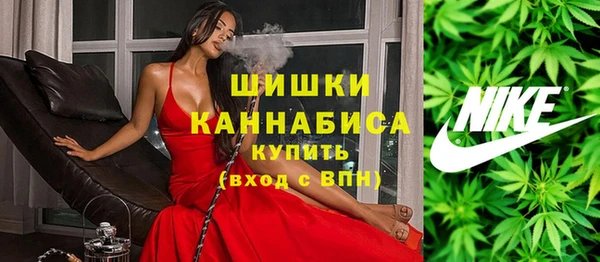 молекула духа Белоозёрский