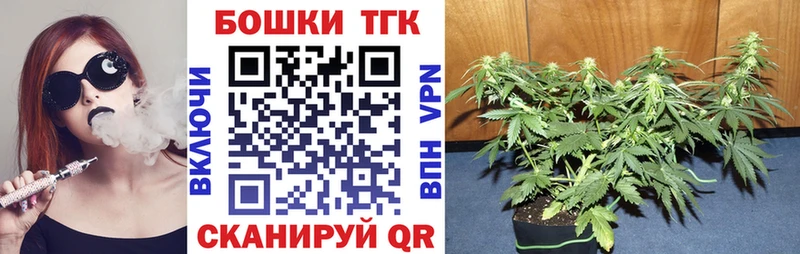 купить наркотик  блэк спрут онион  Канабис Ganja  Сковородино 